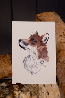 profile-12