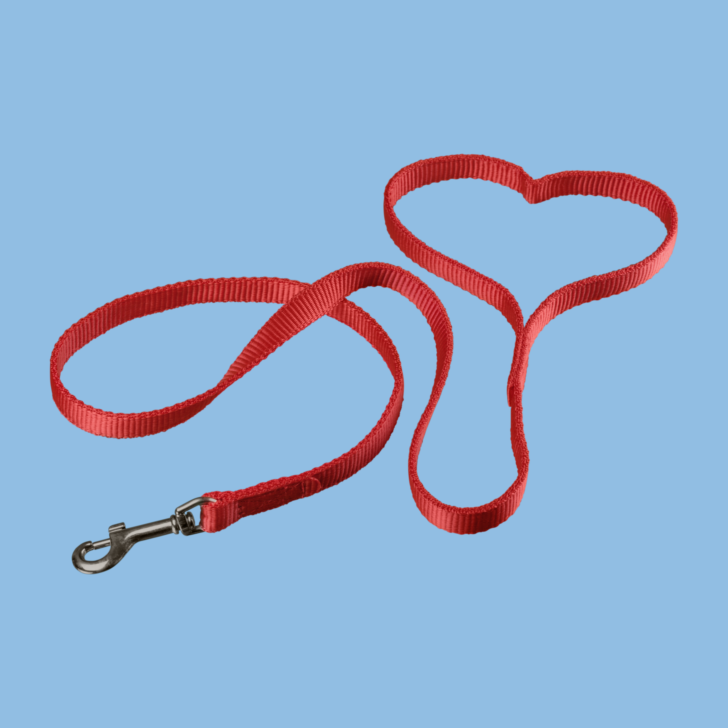 Dog Leashes