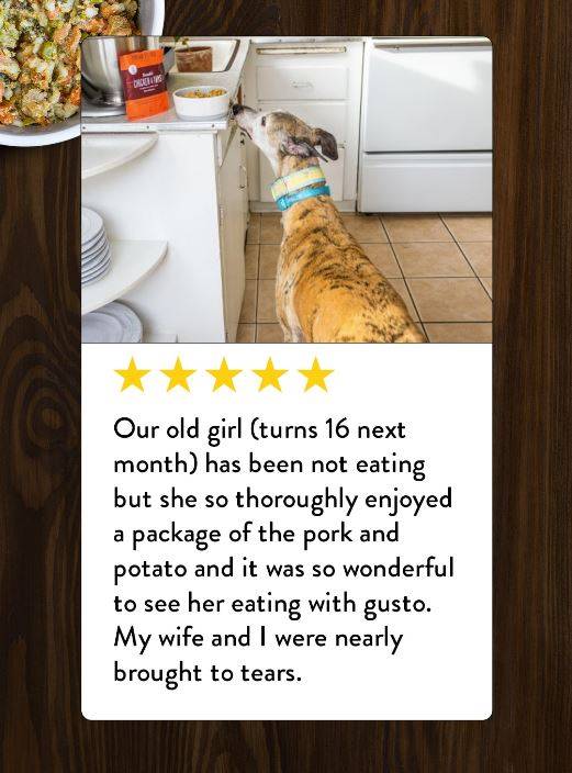 A reivew from someone who has a 16 year old senior dog who only eats Portland Pet Food Company's dog food for senior dogs. 
