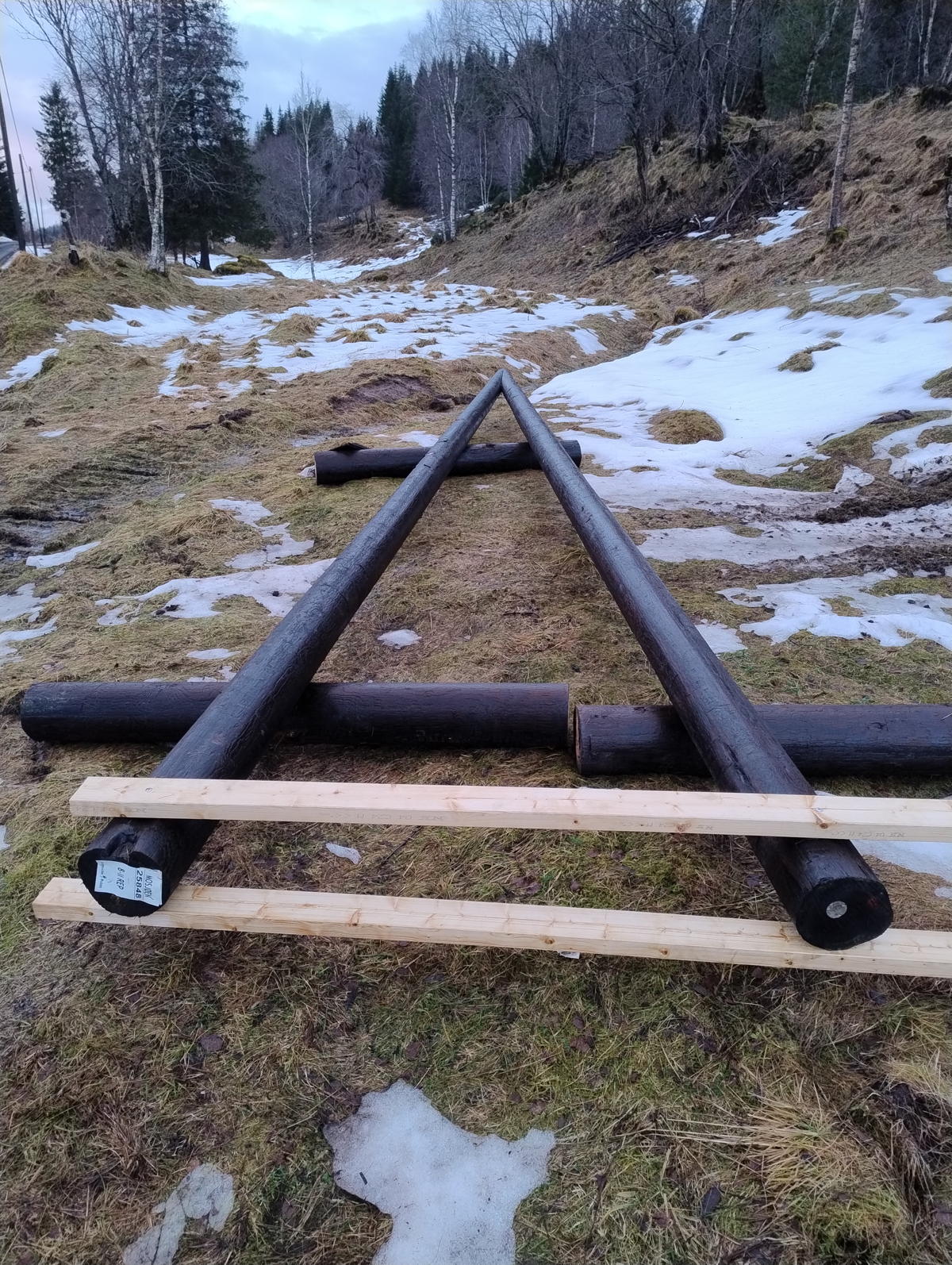 Landstrøm forflåte