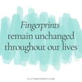 fingerprint quote that our fingerprints never change