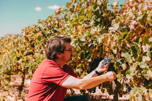 Rudolfo_the_winemaker_behind_Kiss_of_Wine_Tempranillo_Intense_on_his_Spanish_vineyard_in_Valencia..