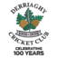 Derriaghy Cricket Club logo