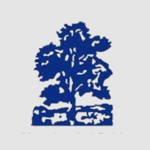 Moseley Ashfield Cricket Club Logo
