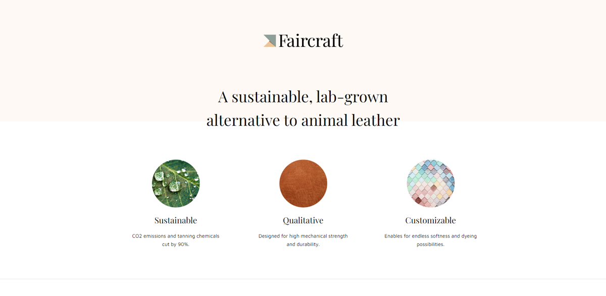 Screenshot of Faircraft, from the startup websites collection.