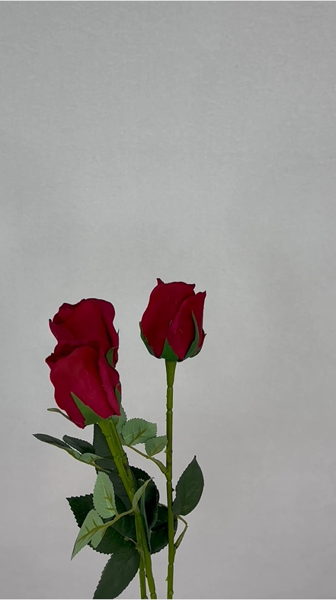 Red Real Touch Open Bud Rose - Realistic Artificial Flowers - Image 4