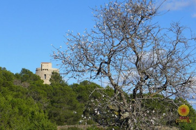 «Пиратская» башня Torre d’en Valls