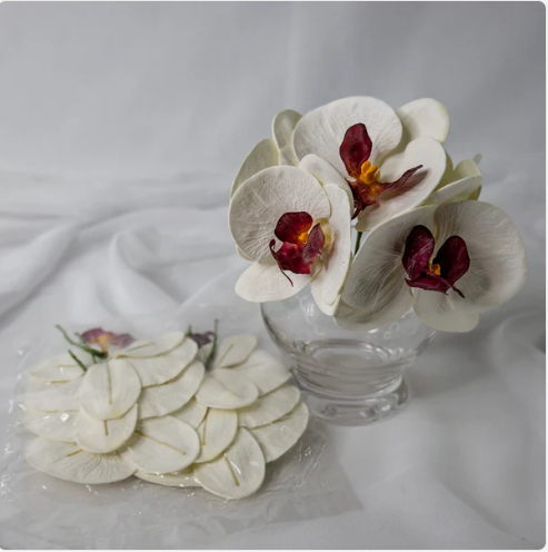 White and Dark Pink Phalaenopsis Flowerhead (6 Pack) - Realistic Artificial Flowers