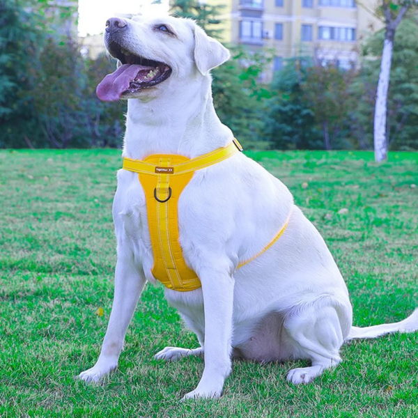 Yellow Reflective Dog Harness with Leash, No-Pull Vest Harness for Dogs, Adjustable Dog Vest with Handle, Walking Training Pet Harness - Image 2