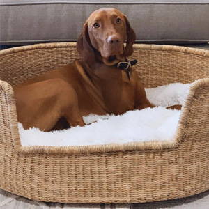 wicker dog bed basket