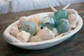 sea glass floats and shells in bowl