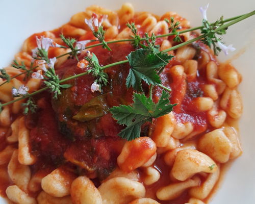 Corsi di cucina Bressanone: Tradizioni d'Irpinia e Taurasi nel calice