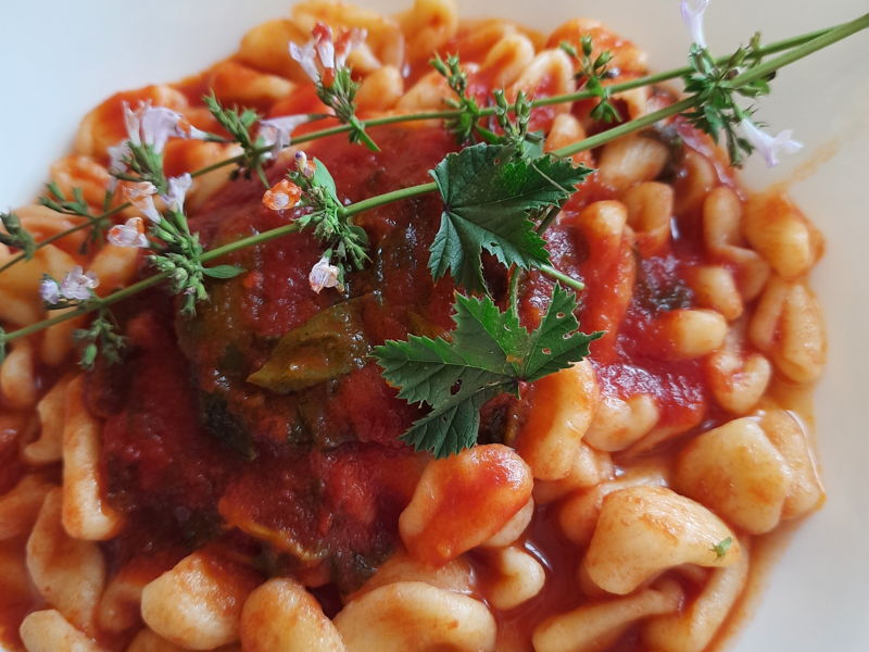 Cours de cuisine Bressanone: Traditions d'Irpinia et Taurasi dans le verre