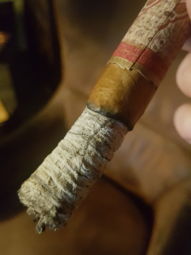 Cigar Session Photo