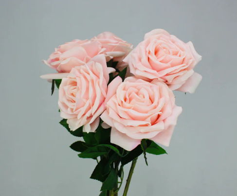 Blush Pink Real Touch Rose - Realistic Artificial Flowers - Image 2