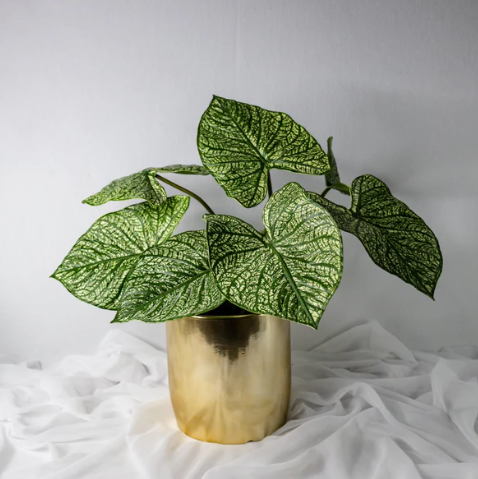 Green Caladium Leaf - Realistic Artificial Flowers and Greenery - Image 2