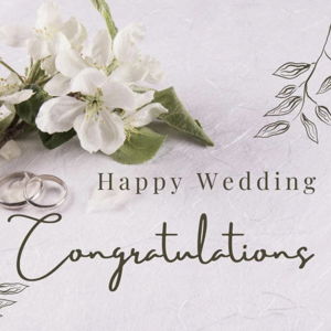 Our Newlywed Fund ($100 Gift)