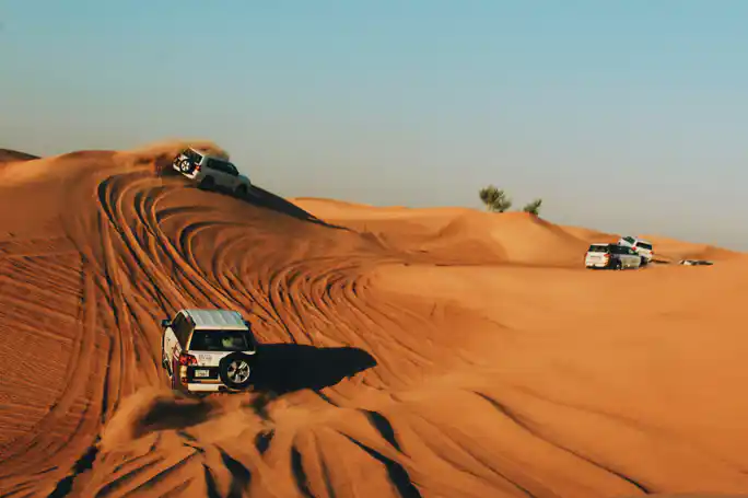 Premium Desert Safari Evening with VIP Dinner and individual table service