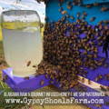 beehive-at-gypsy-shoals-farm-apiary