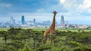 Day trip to Nairobi National Park