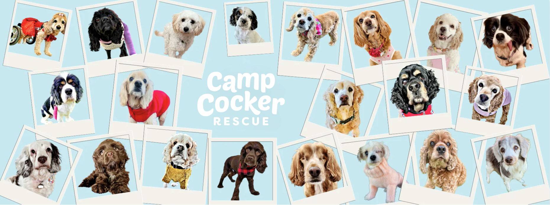 Camp Cocker Rescue