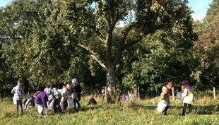 hofgut graue presse kinder auf wiese