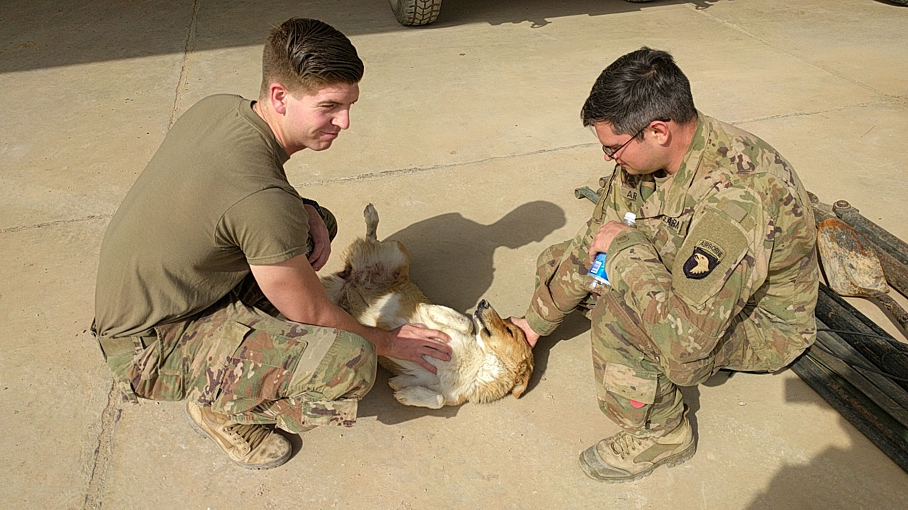 SPCA International - Military Rescue Programs Donor portal