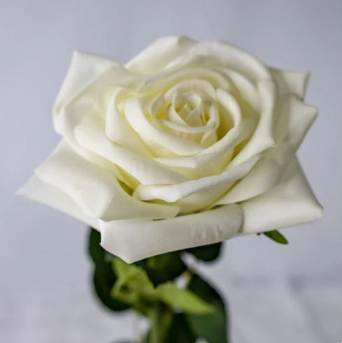 White Natural Real Touch Rose -Realistic Artificial Flowers - Image 4