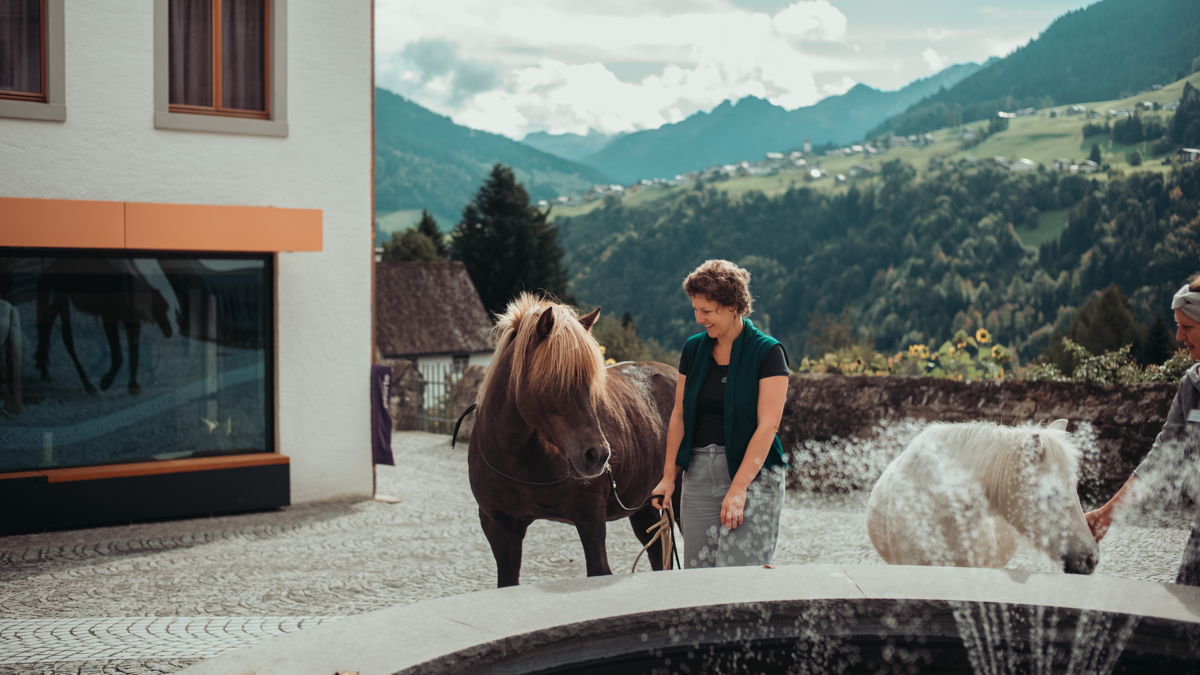 Meditation mit Pferden