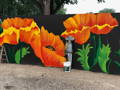 protecting a poppy painted wall protected with muralshield