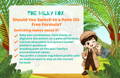 Should You Switch to a Palm Oil-Free Formula? | The Milky Box