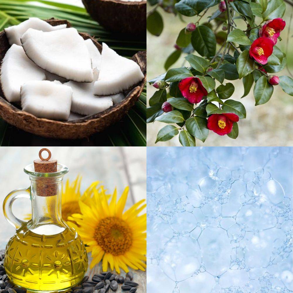 Laundry Detergent Sheets