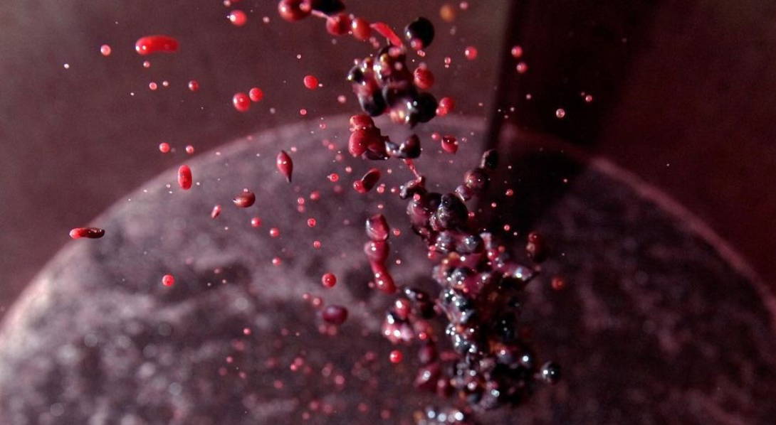 France, vin nature, rawwine, organic wine, vin bio, vin sans intrants, vin sans souffre, vin sans sulfites ajoutés, bistro brute, vin rouge, vin blanc, rouge, blanc, nature, vin propre, vigneron, vigneron indépendant, domaine bio, biodynamie, vigneron nature, cave vin naturel, cave vin, caviste, vin biodynamique, bistro brute, Quimper, Finistère , domaine de la mordorée, rhône, tavel, lirac