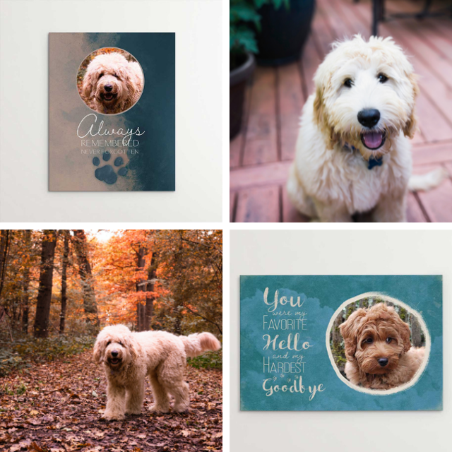 Labradoodle memorials