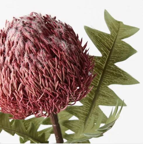 Banksia Baxteri Dusty Pink- Realistic Artificial Flowers - Image 4