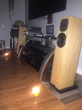 Neat Acoustics Sx-2