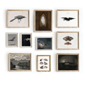 Vintage Wall Art, Vintage Bird Prints, Crow Wall Art, Bat Poster, Dark Academia Room Decor, Country Landscape Wall Art, Farmhouse Art Prints, French Country Wall Art Set 10 (11X14 IN UNFRAMED)