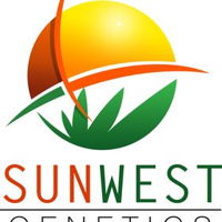 sunwestgenetics