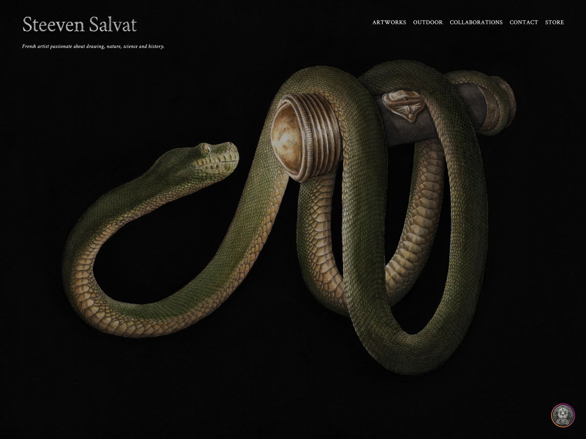 Screenshot of Steeven Salvat, from the art portfolios collection.