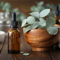 eucalyptus oil repels small hive beetles honeybee health