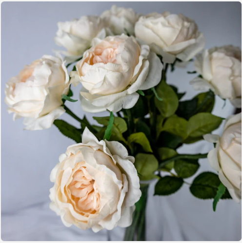 Blush Pink Real Touch David Austin Half Bloom Rose - Realistic Artificial Flowers (Box of 24 Stems)