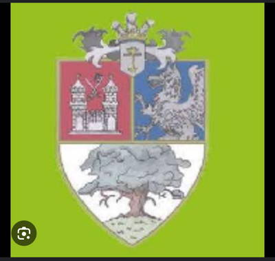 Nonington Cricket Club Cricket Club Logo
