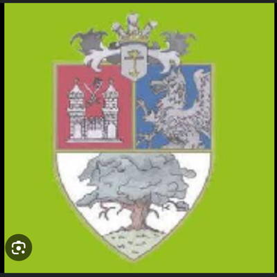 Nonington Cricket Club Logo
