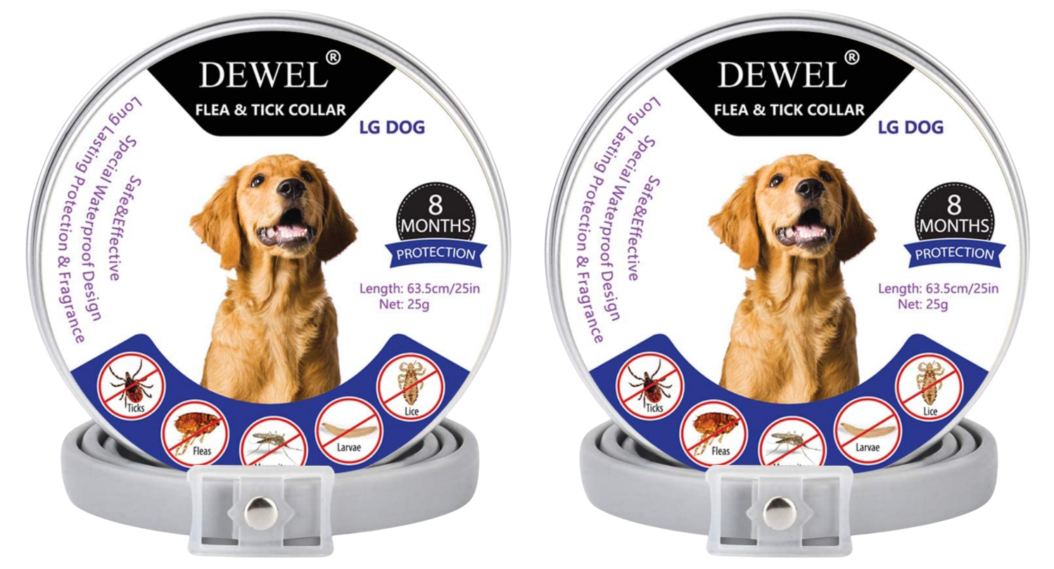 Buy 2 Collars & Save 20%