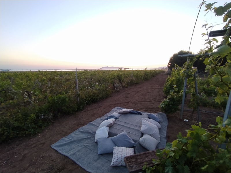 Kulinarische Erlebnisse Marsala: Picknick bei Sonnenuntergang in den Weinbergen