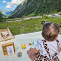 Baby girl sitting on white picnic sheet and playing with wooden rattles with mountains in the background.