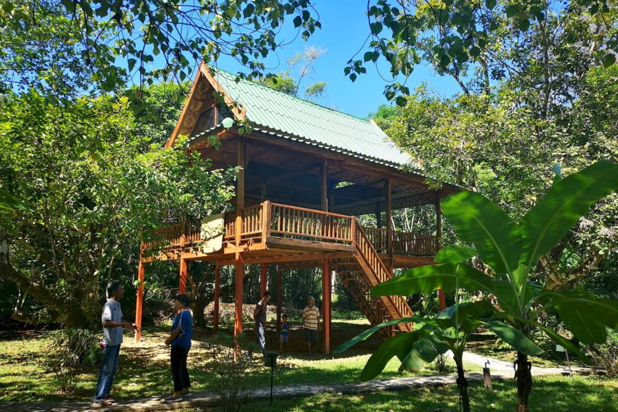 Our Jungle Camp - Eco Resort