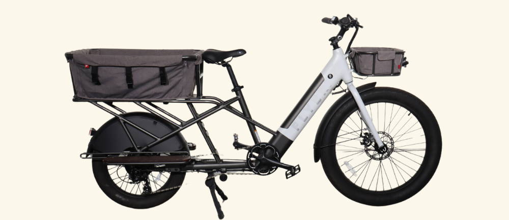 Flyer electric cargo bike