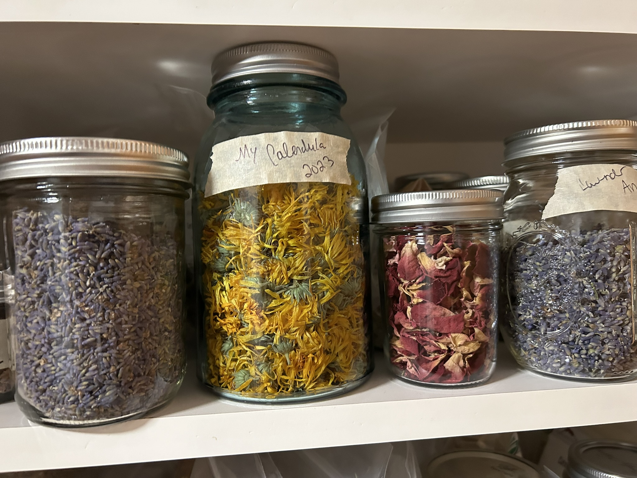 Dried herbs on a shelf