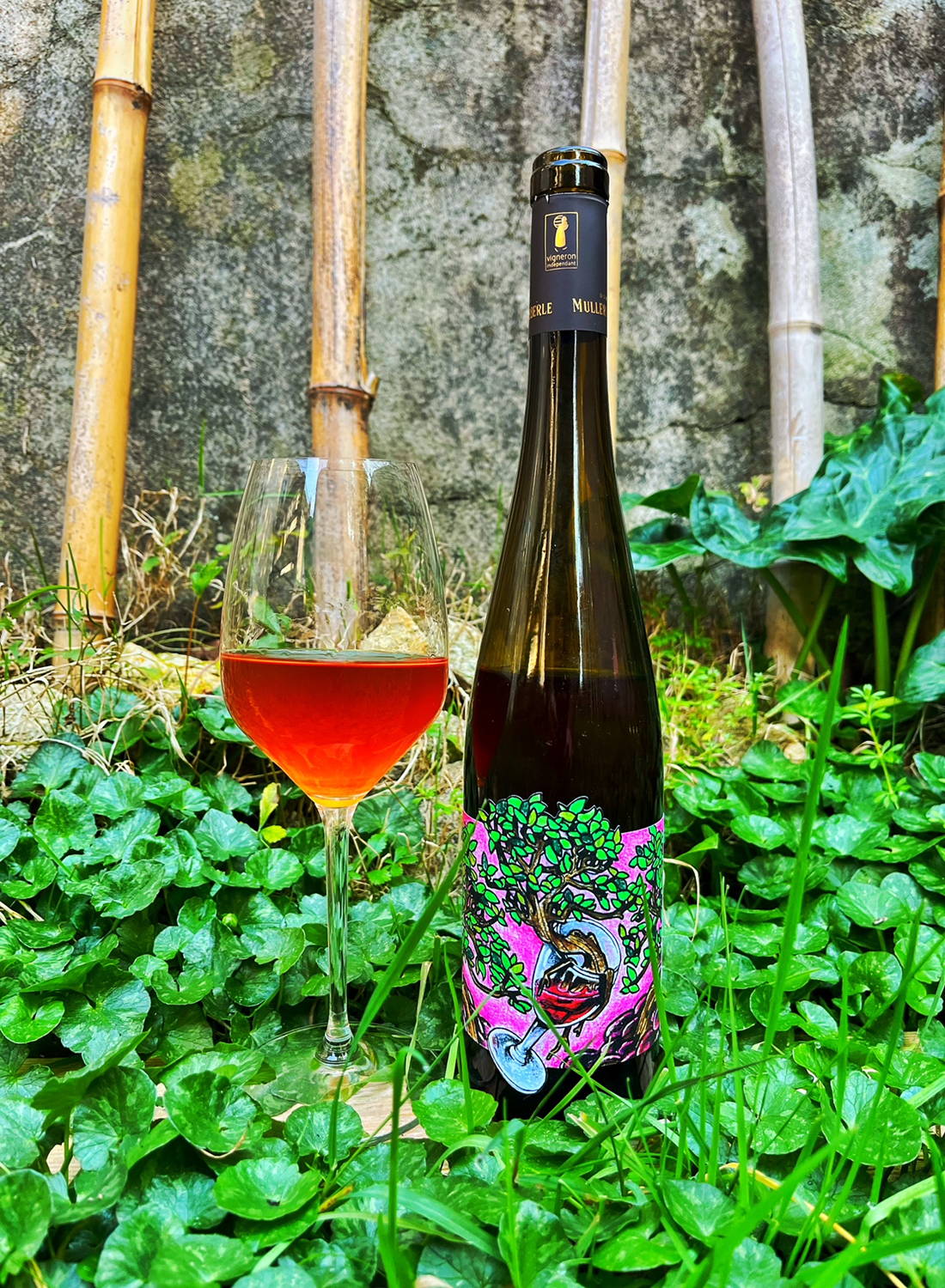France, vin nature, rawwine, organic wine, vin bio, vin sans intrants, vin sans souffre, vin sans sulfites ajoutés, vin rouge, vin blanc, rouge, blanc, vin propre, vigneron, domaine bio, biodynamie, vigneron nature, vin biodynamique, raizin brut, Quimper, Finistère,distributeur, agent, vrp, gurwan, gurwan le gouil, Raizin Brut, vignerons  